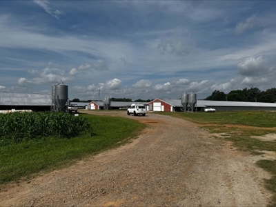 Income Producing Texas Poultry Farm in Winnsboro Texas - image 10