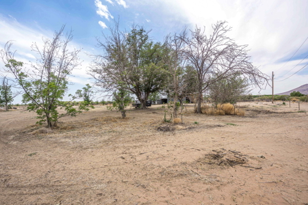 Land for Sale with Horse Facilities and Shop Las Cruces, NM - image 29