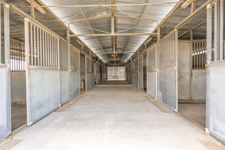 Land for Sale with Horse Facilities and Shop Las Cruces, NM - image 16