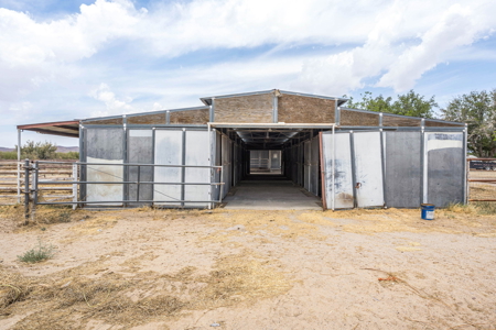 Land for Sale with Horse Facilities and Shop Las Cruces, NM - image 15