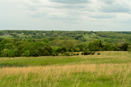 Missouri Cattle Ranch For Sale - image 23