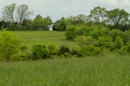 Missouri Cattle Ranch For Sale - image 17