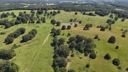 Missouri Cattle Ranch For Sale - image 34