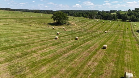 Missouri Cattle Ranch For Sale - image 40