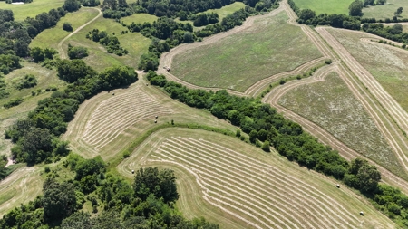 Missouri Cattle Ranch For Sale - image 31