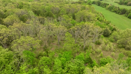 Missouri Cattle Ranch For Sale - image 34