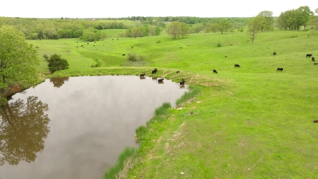 Missouri Cattle Ranch For Sale - image 29