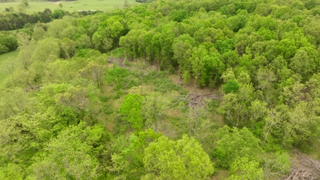 Missouri Cattle Ranch For Sale - image 31