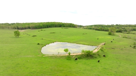 Missouri Cattle Ranch For Sale - image 3