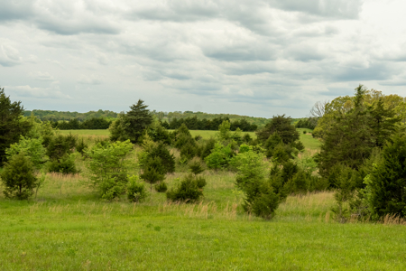 Missouri Cattle Ranch For Sale - image 20
