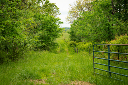 Missouri Cattle Ranch For Sale - image 16