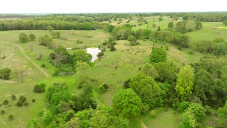Missouri Cattle Ranch For Sale - image 28