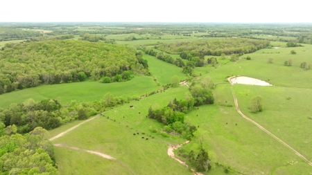 Missouri Cattle Ranch For Sale - image 26