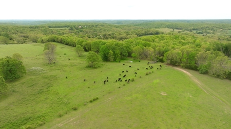 Missouri Cattle Ranch For Sale - image 25