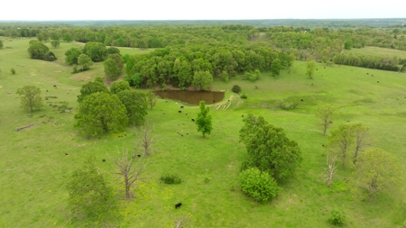 Missouri Cattle Ranch For Sale - image 24