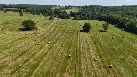 Missouri Cattle Ranch For Sale - image 39