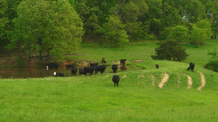Missouri Cattle Ranch For Sale - image 10