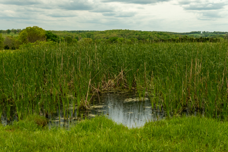 Missouri Cattle Ranch For Sale - image 22