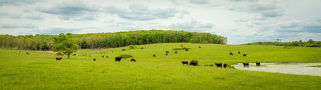 Missouri Cattle Ranch For Sale - image 14