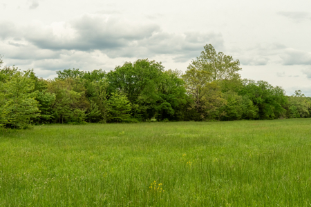 Missouri Cattle Ranch For Sale - image 18
