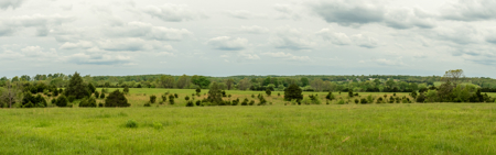 Missouri Cattle Ranch For Sale - image 19