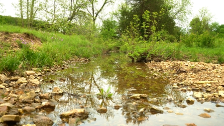 Missouri Cattle Ranch For Sale - image 13