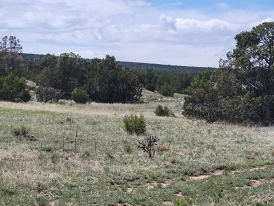 4.9 Acres Partially Wooded Lot in Woodland Hills NM - image 1