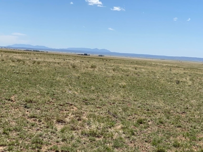 40 Acres with Mountain Views in Stanley, NM - image 6
