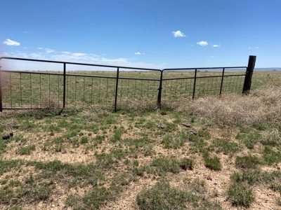 40 Acres with Mountain Views in Stanley, NM - image 2