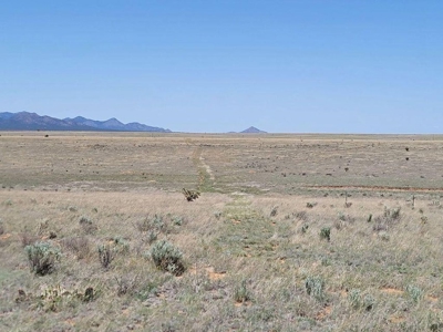 40 Acres in Santa Fe County – Horse Ranch or Custom Home - image 2