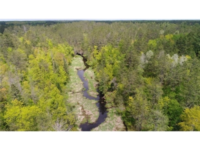 Custom Ranch Home on 5+ Wooded Acres For Sale in Sandstone MN - image 48