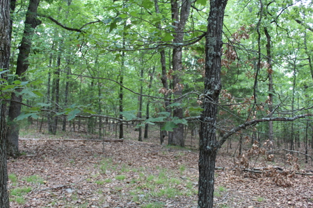 Residential Lot Directly Across from Golf Course on Bull Shoals - image 7