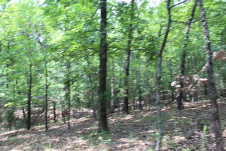 Residential Lot Directly Across from Golf Course on Bull Shoals - image 2