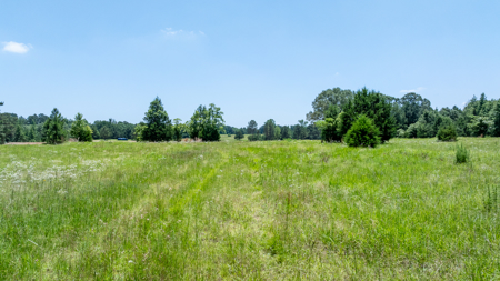East TX Ranch for Sale Winona TX Smith County - Hunt Ranch Fish - image 6