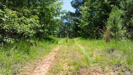 East TX Ranch for Sale Winona TX Smith County - Hunt Ranch Fish - image 4
