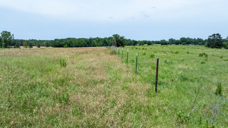 East TX Ranch for Sale Winona TX Smith County - Hunt Ranch Fish - image 15