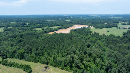 East TX Ranch for Sale Winona TX Smith County - Hunt Ranch Fish - image 11