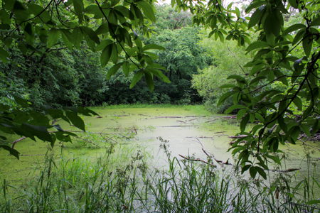 Land For Sale In Johnson County, MO - image 28