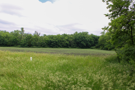 Land For Sale In Johnson County, MO - image 30