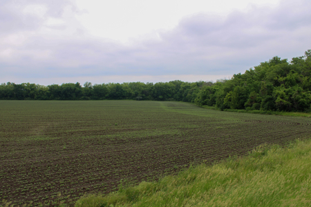 Land For Sale In Johnson County, MO - image 3