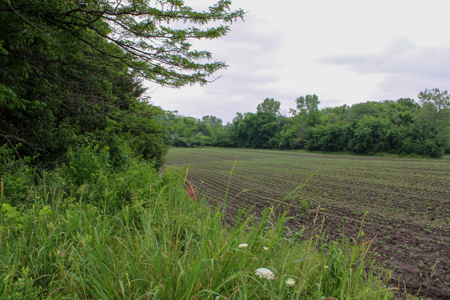 Land For Sale In Johnson County, MO - image 18