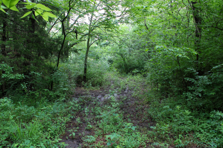 Land For Sale In Johnson County, MO - image 33