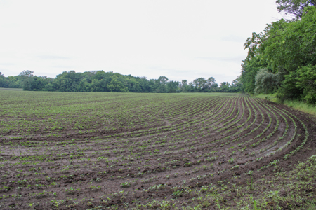 Land For Sale In Johnson County, MO - image 12