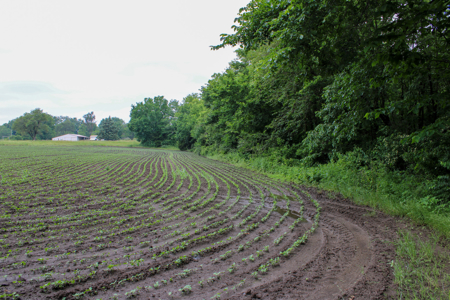 Land For Sale In Johnson County, MO - image 27