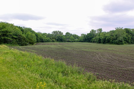 Land For Sale In Johnson County, MO - image 38