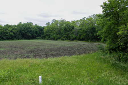 Land For Sale In Johnson County, MO - image 21