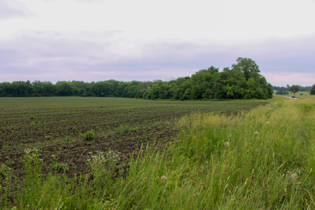 Land For Sale In Johnson County, MO - image 16