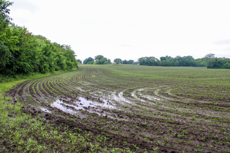 Land For Sale In Johnson County, MO - image 11