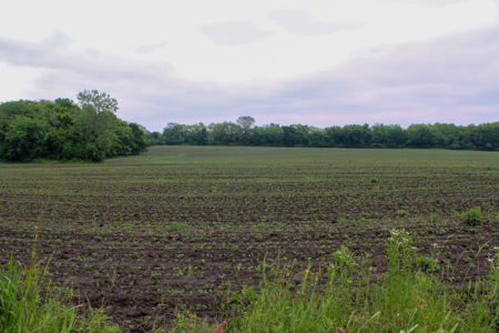 Land For Sale In Johnson County, MO - image 17
