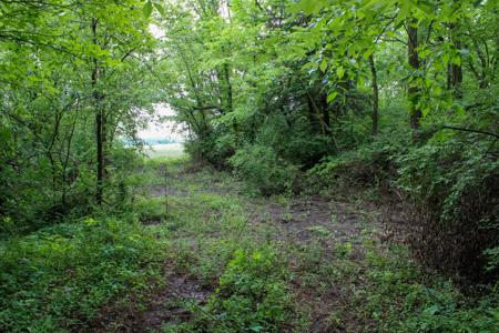 Land For Sale In Johnson County, MO - image 34